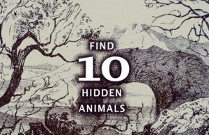 Find 10 Hidden Animals.