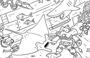 Can You Find The Eleven Hidden Objects?