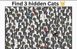 Find 3 hidden Cats among penguins