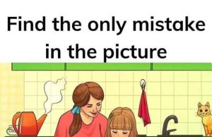 Find the mistake in the kitchen picture in 6 seconds!