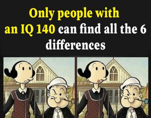 Only people with an IQ 140 can find all the 6 differences