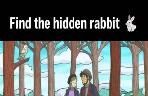 Find the hidden rabbit in the image in a maximum of 15 seconds