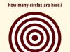 How Many Circles Are Here?