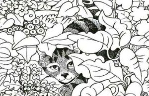 Find 12 Hidden Objects.