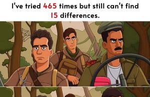 Test: Only a person with a high IQ can find the 15 differences