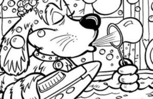 HIDDEN PICTURES: Dog taking a bath.