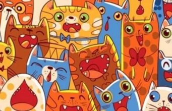 Find Fish, Ladybug, Bird, Butterfly.