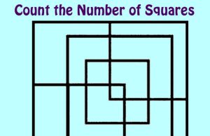 Count The Number of Squares