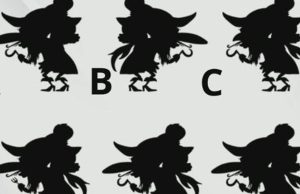 Shadow Game Visual Challenge