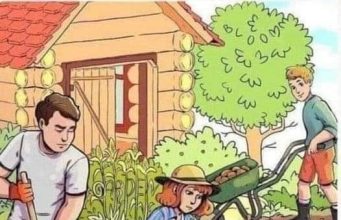 Find 3 Words Hidden.