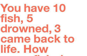 How many fish do you have?