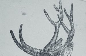 If you see a hare in the picture, you are a genius