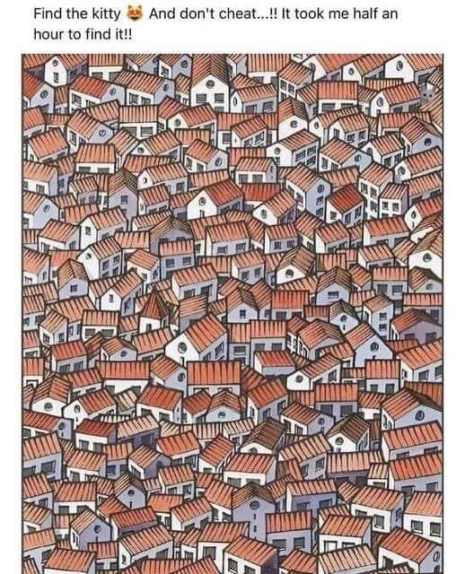 Find a cat among the houses in 5 seconds?