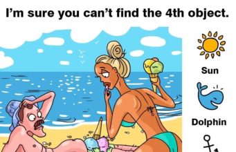 Find Sun, Dolphin, Anchor, Snail.