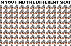 Can You Find The Different Skate?