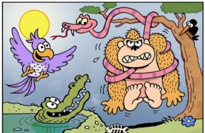 Animals: Find 6 Differences