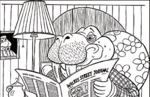 Hidden Picture: Walrus.