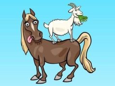 Select the correct shadow that matches the drawing.